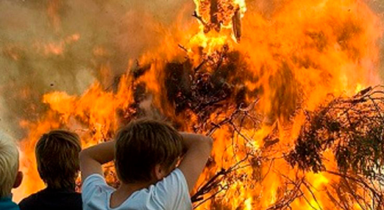 Что делать при пожаре в лесу Image