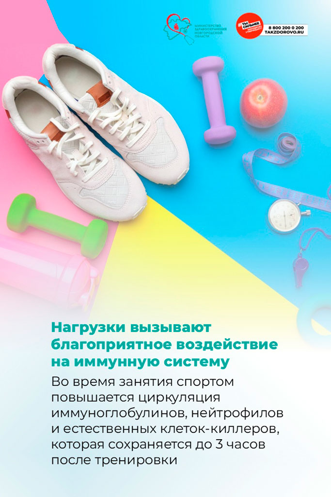 Спорт